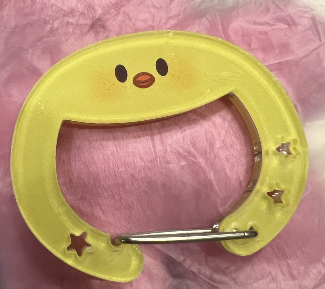 Stray Kids 菲登山扣