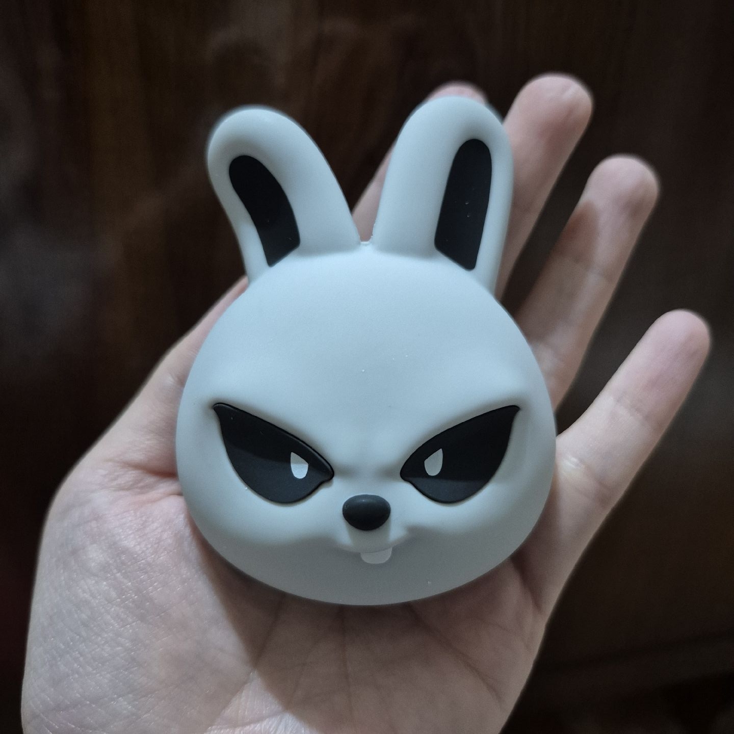 Skzoo 音響專 Leebit 旻