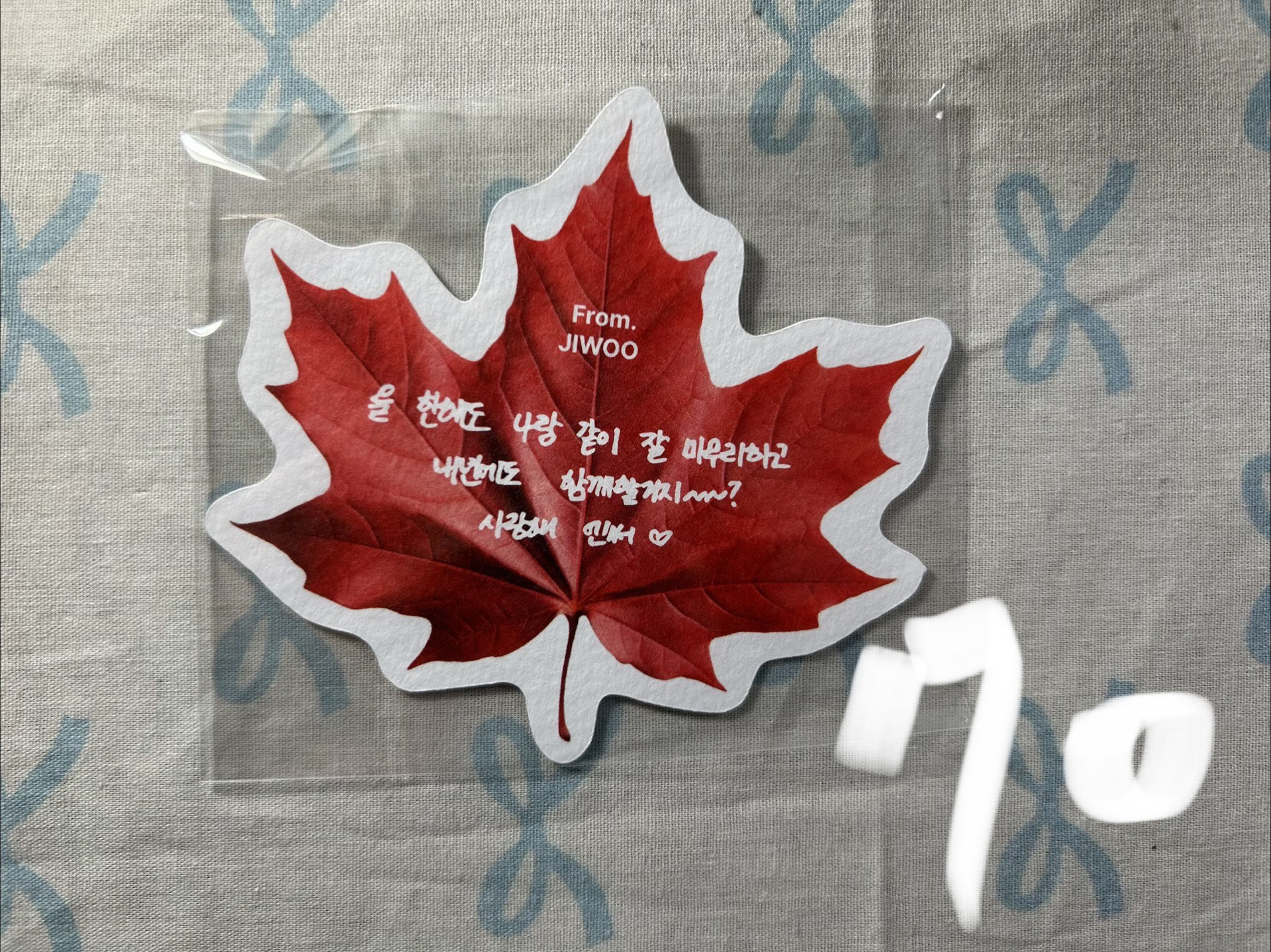 NMIXX 全員特典卡