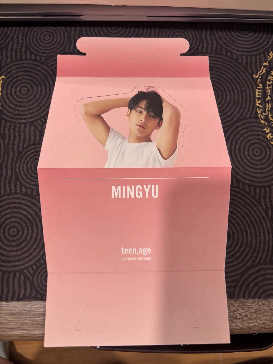 seventeen teen age 正二 立牌 奎