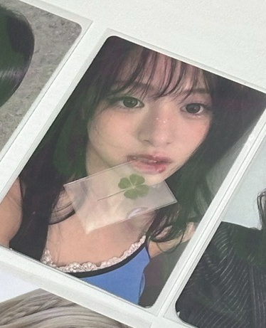 🔥現貨🔥幸運草🍀雅賢