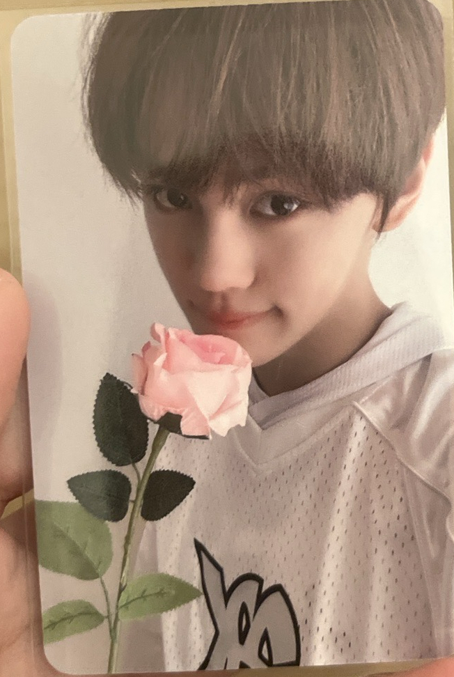 zb1 mini4 sr3.0 七夕玫瑰