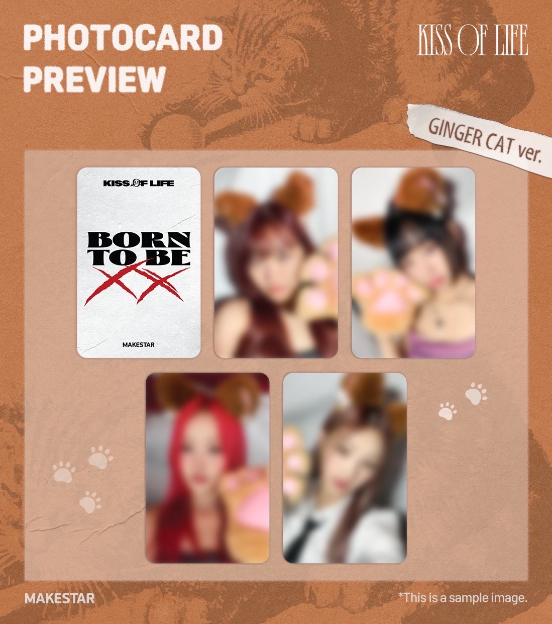 ms線上線下簽售 偵探 起司貓ver.