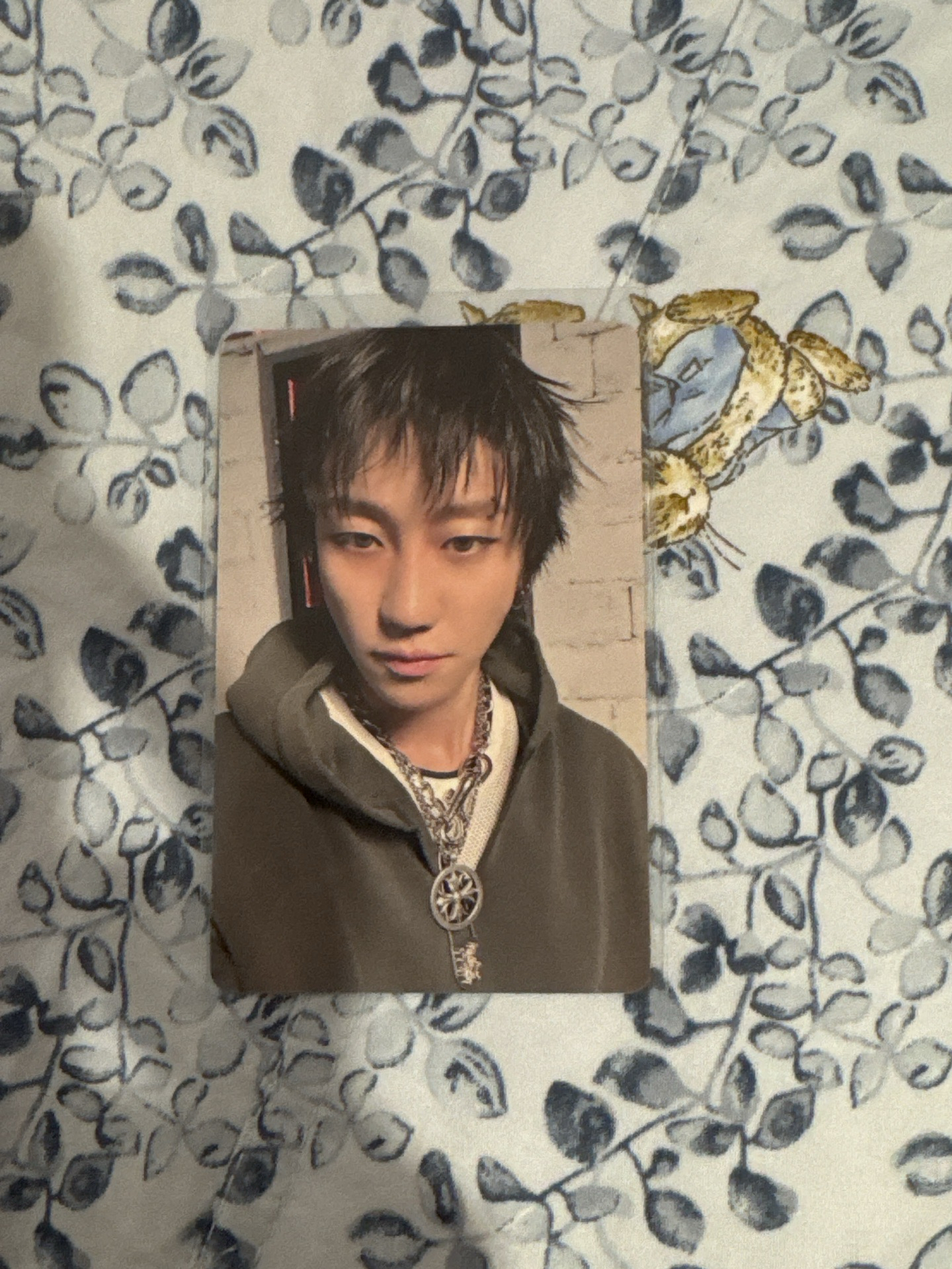 八｜正五-一直娛2.0特典卡