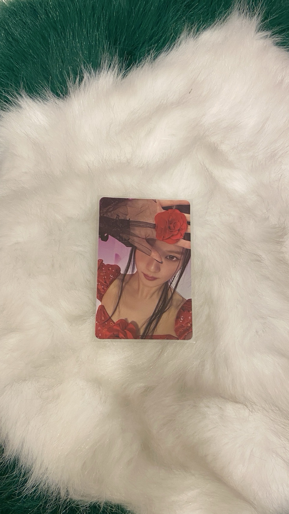 Jisoo 特別版寫真 專輯卡