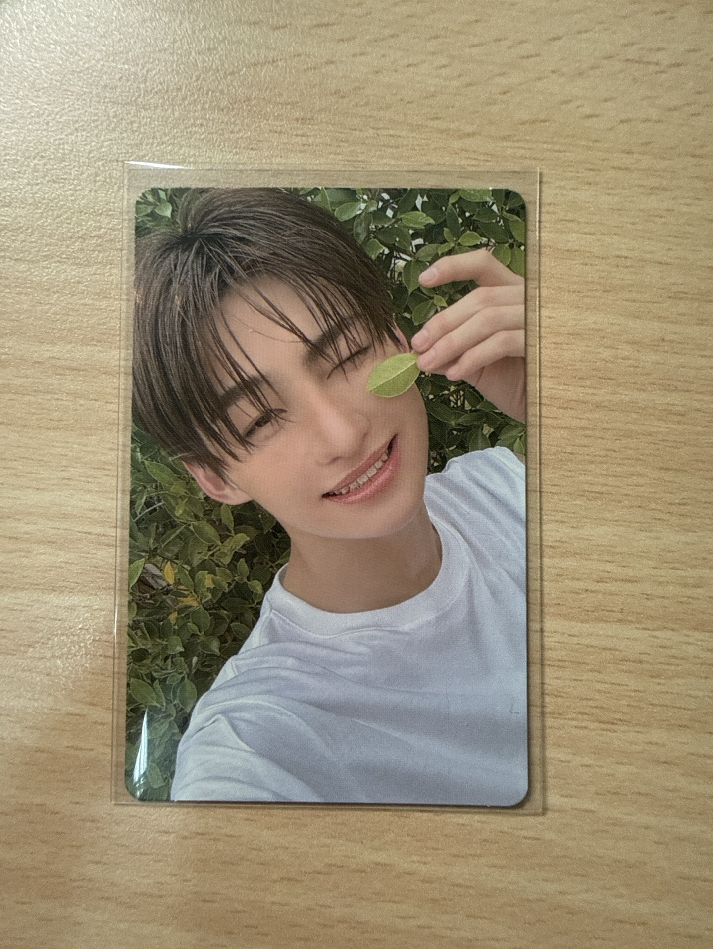 SUMMER BEAT NOW Ver. 志薫 專卡