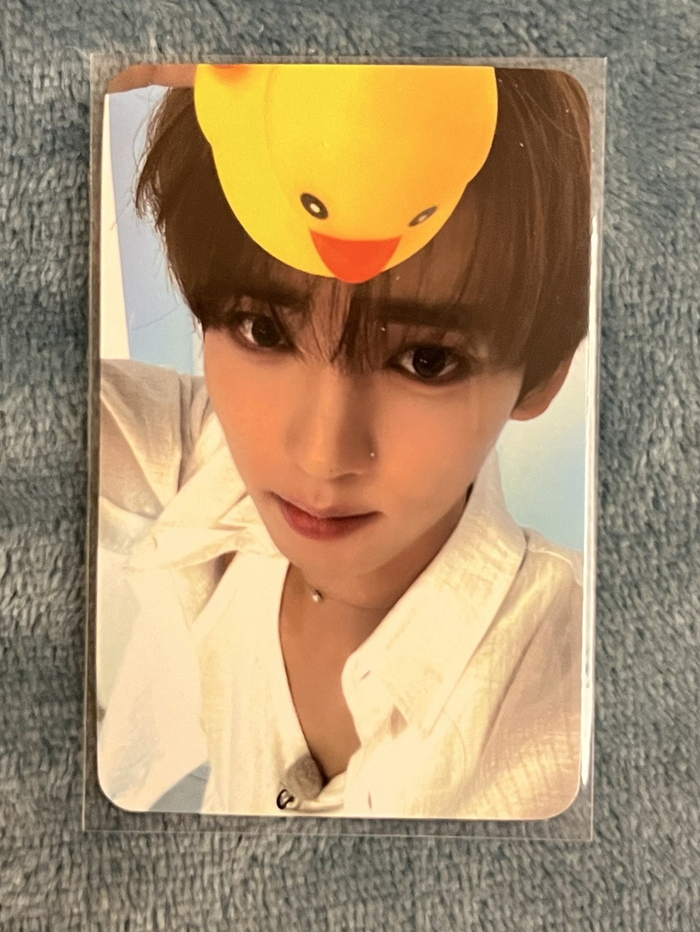 ZB1 韓維辰 鴨子