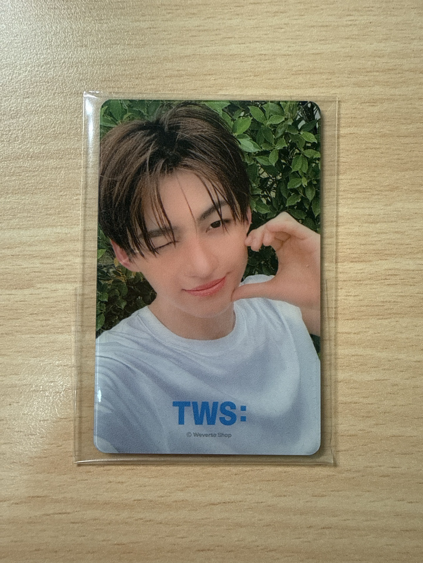 SUMMER BEAT 志薫 WVS 特典鏡子