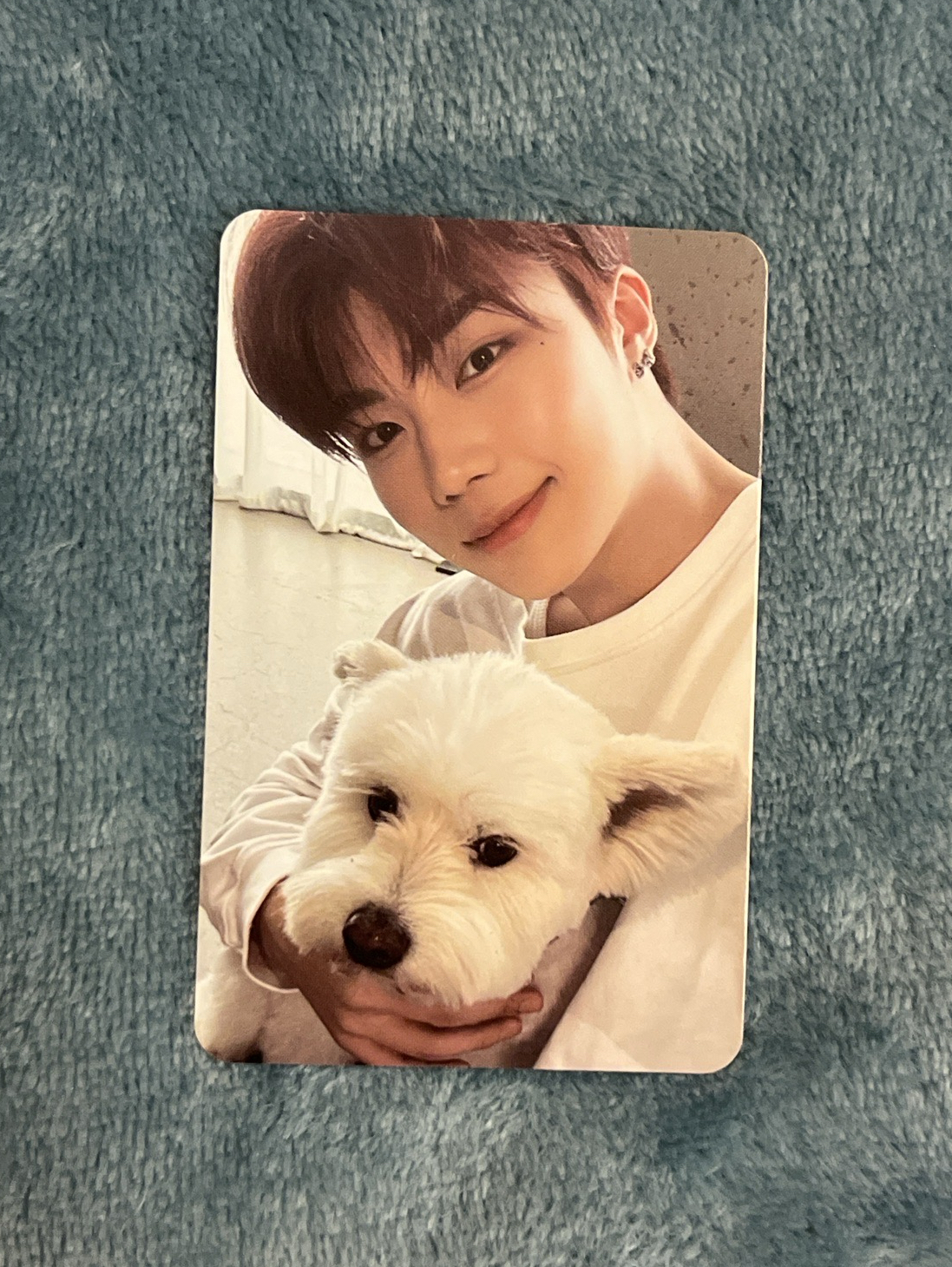 ZB1 朴乾旭 狗狗旭 小狗卡