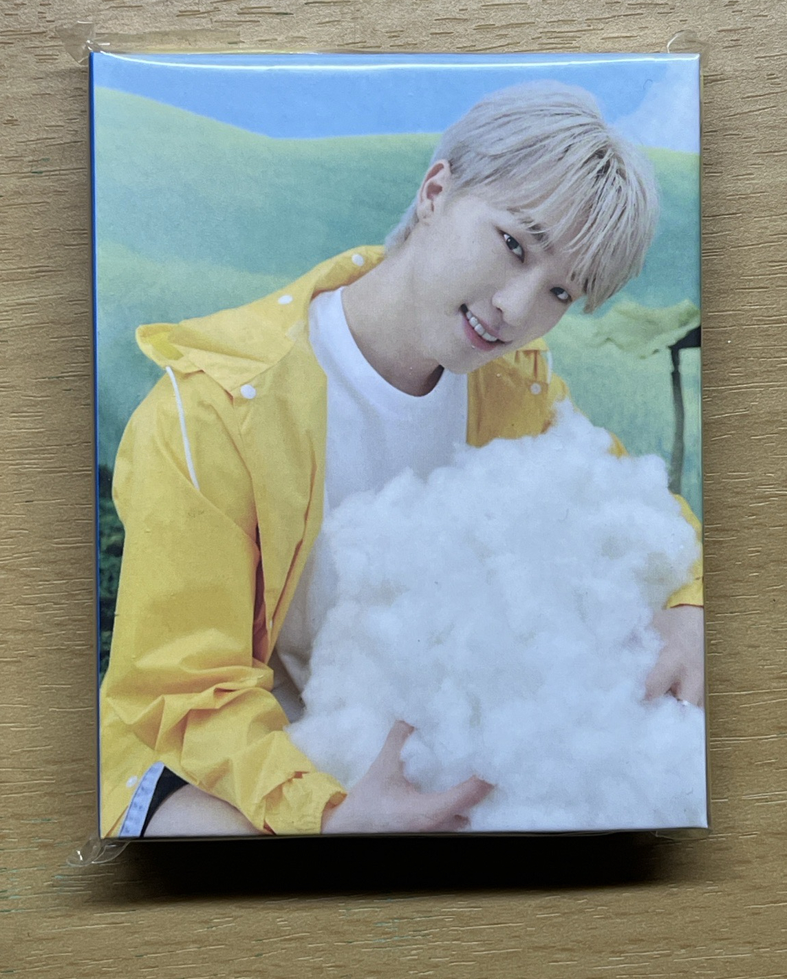 迷11克拉盤燦（無外殼）