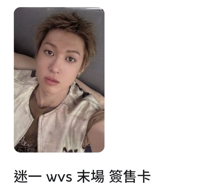 （可直拍）wvs末場訓+wvs末場馬