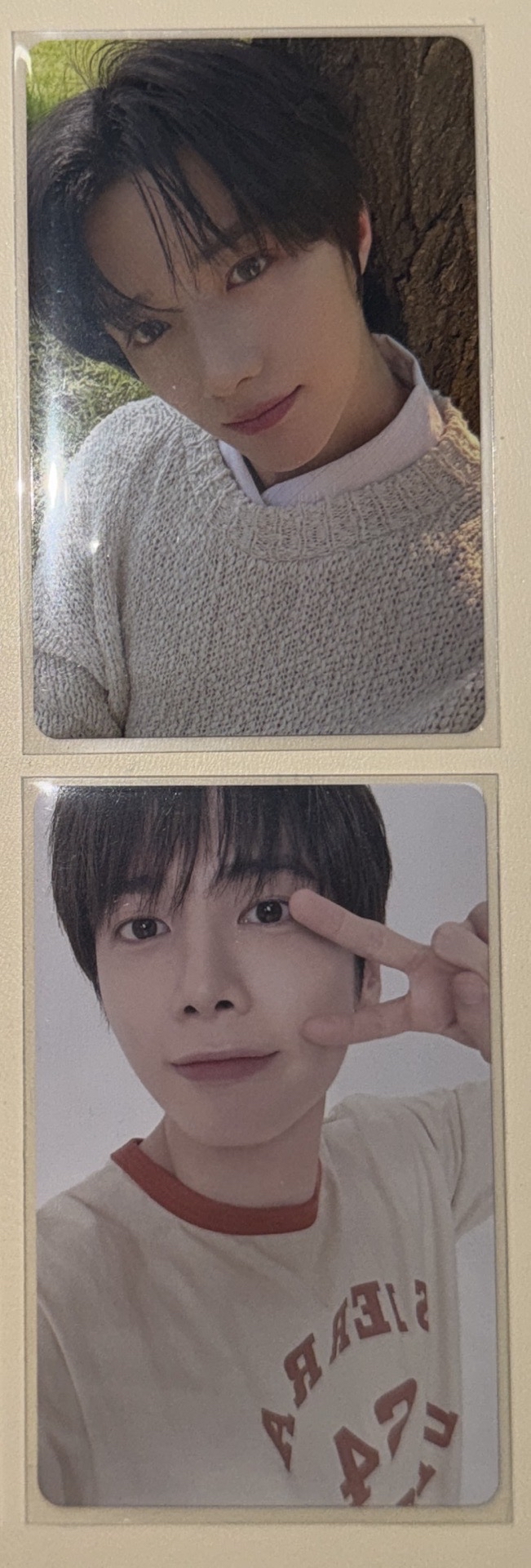 日巡粽卡圭、新入會顯