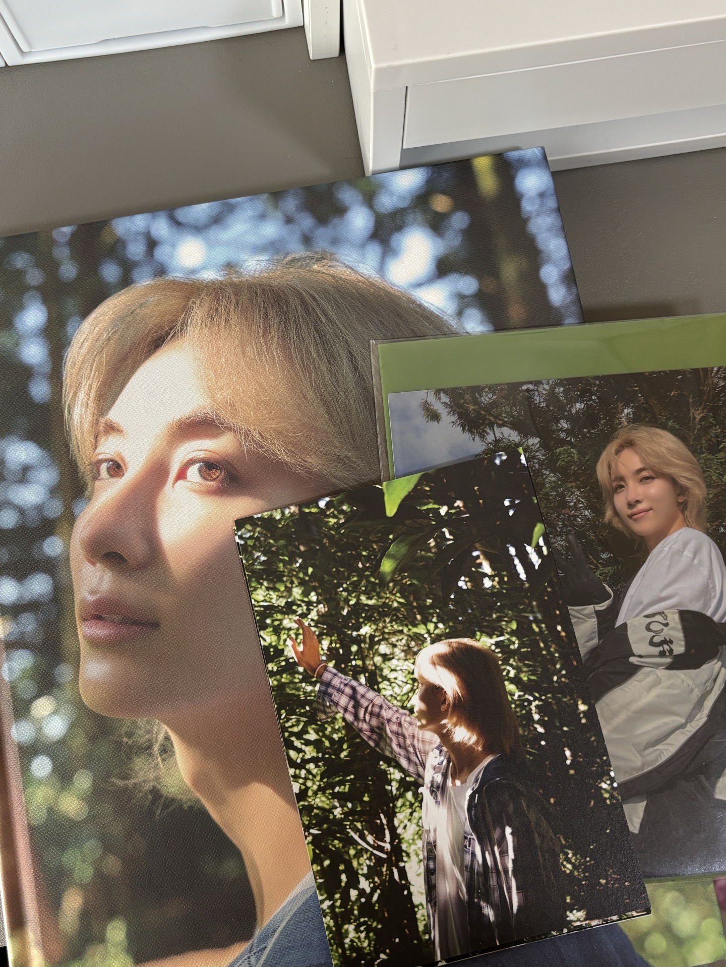 淨漢寫真回憶錄