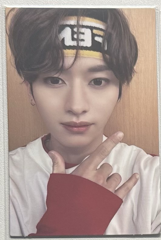 髮帶一戴 誰看都愛