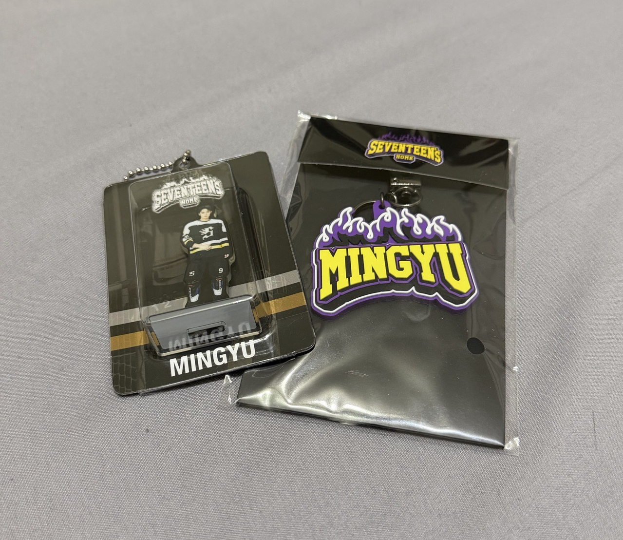 Seventeen 2025 Home周邊