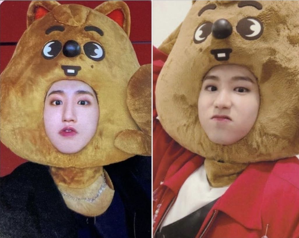 韓知城 闊卡大頭*2