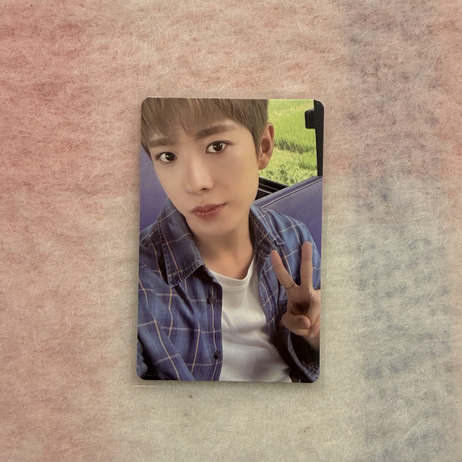 ⭐️color sc中選卡