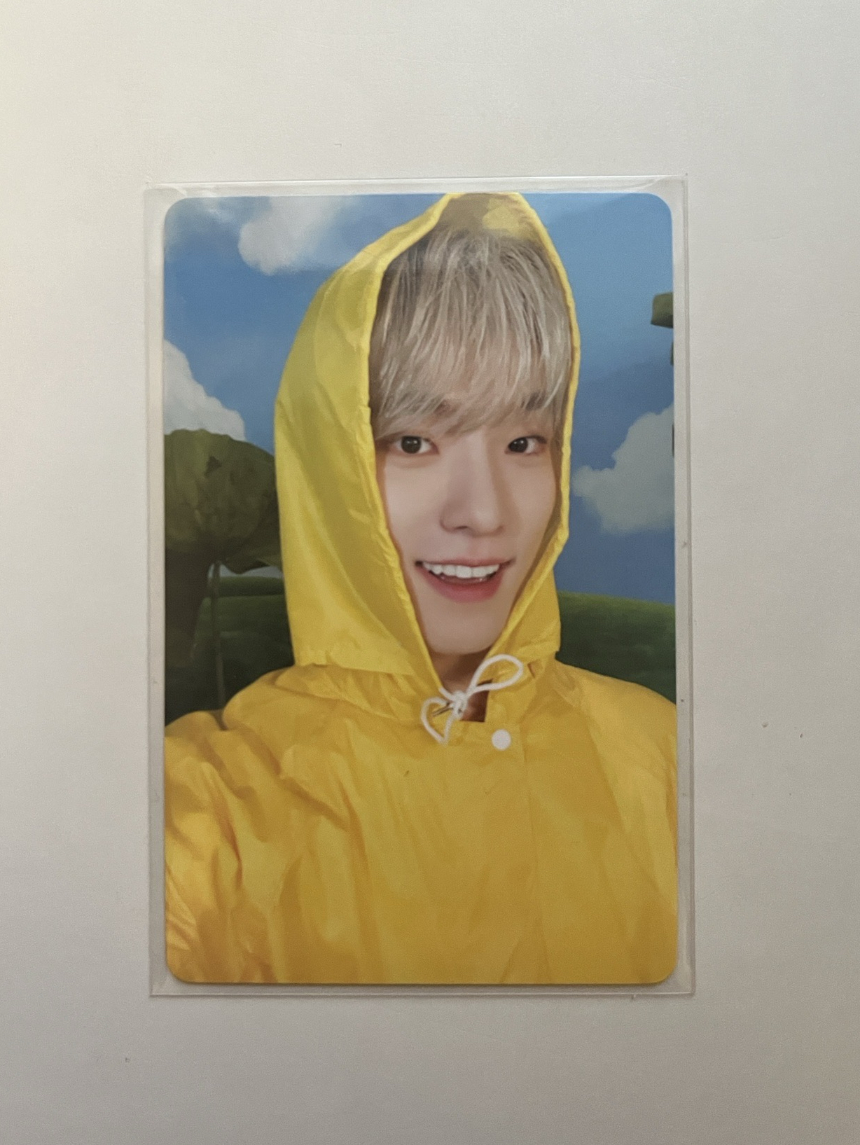 迷十一克拉盤 專卡燦🦦