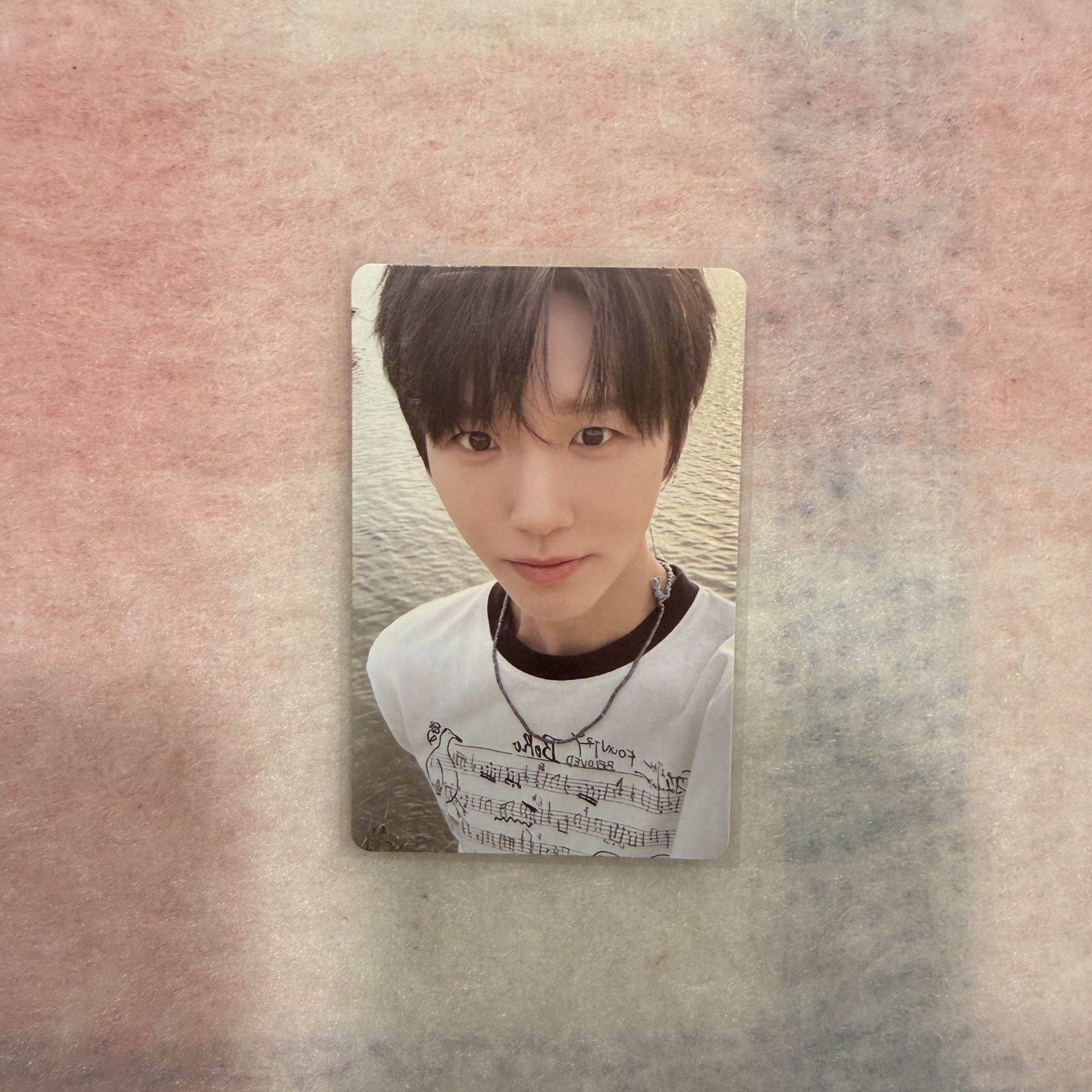 🌳color sc中選卡