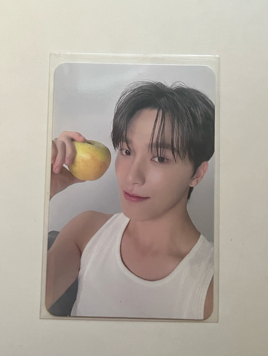 精選專克拉盤 專卡燦🦦