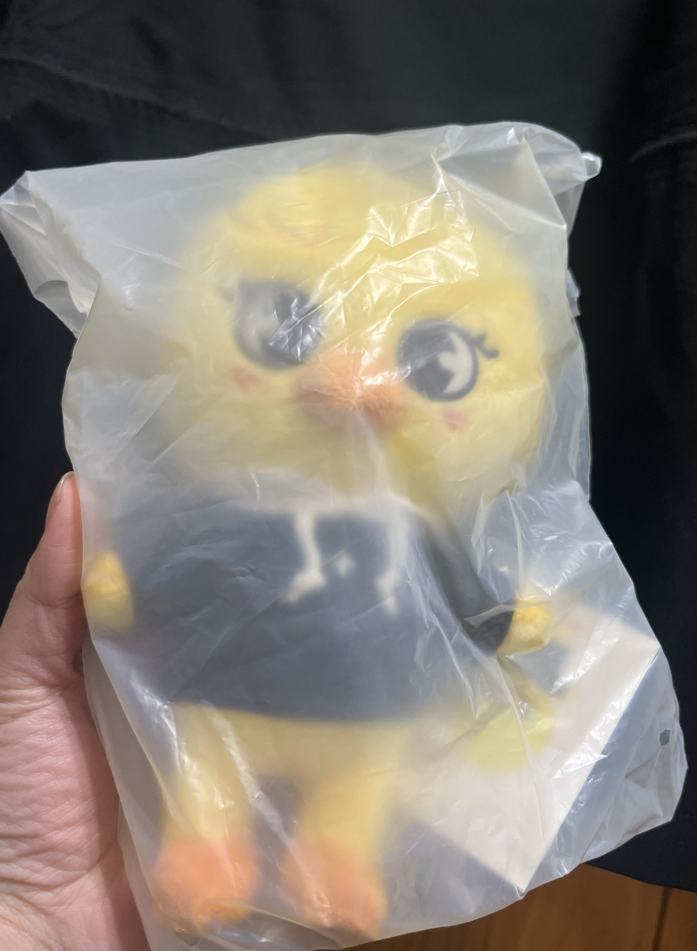 20公分娃 I.N/菲（全新