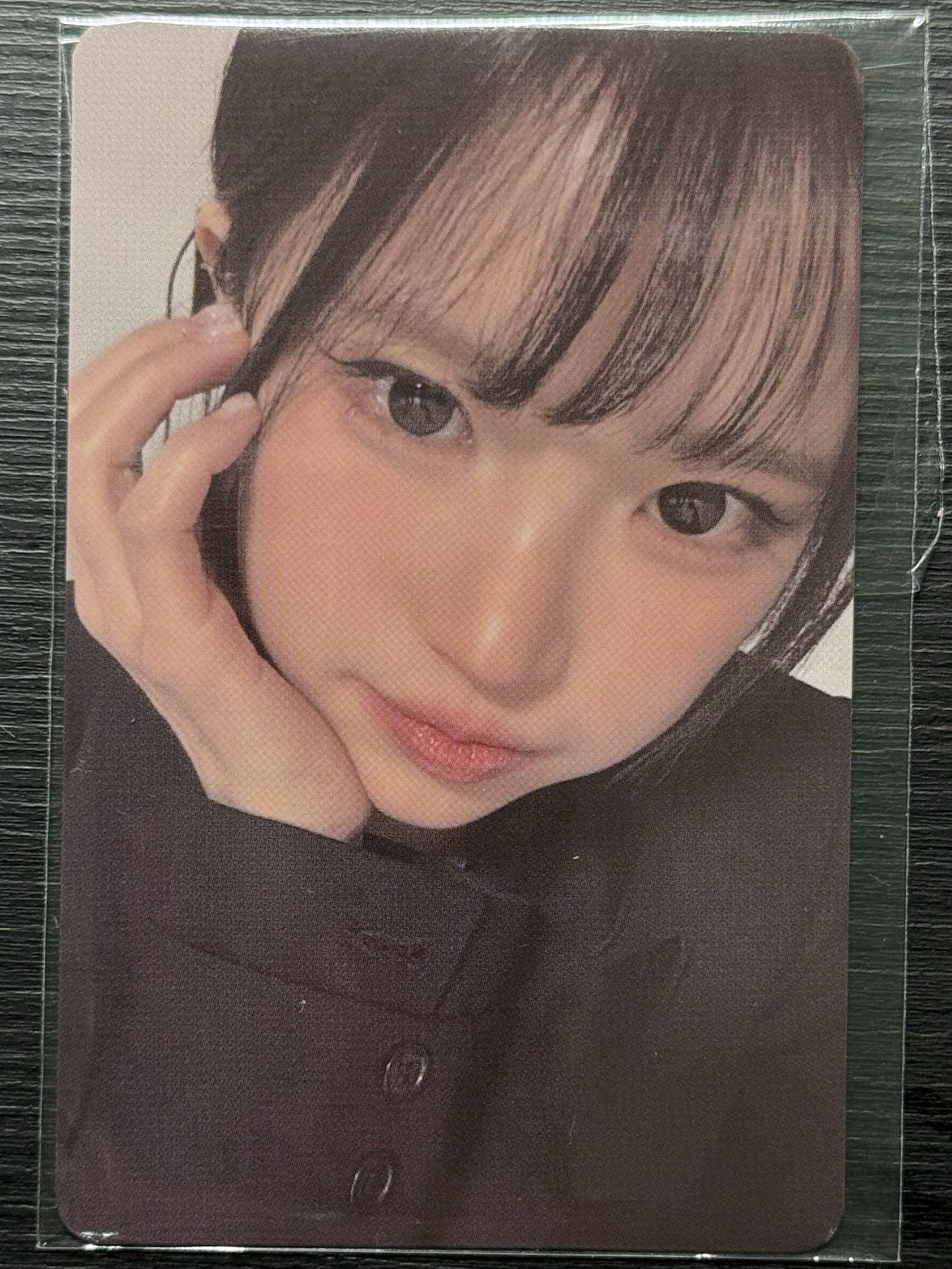 25’世巡安可場 會員禮卡 fromm 訂閱卡 河