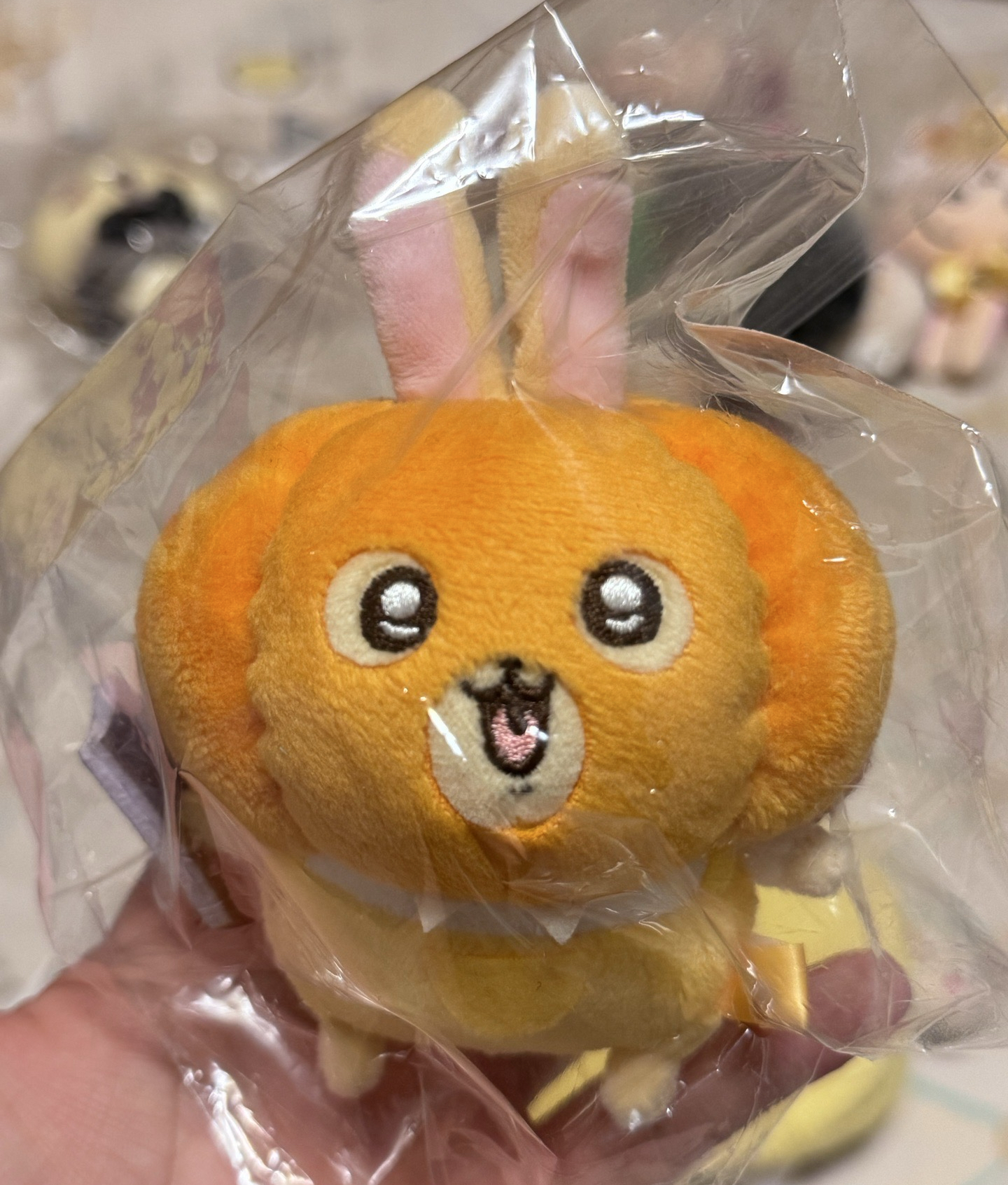 南瓜兔兔 送小包包