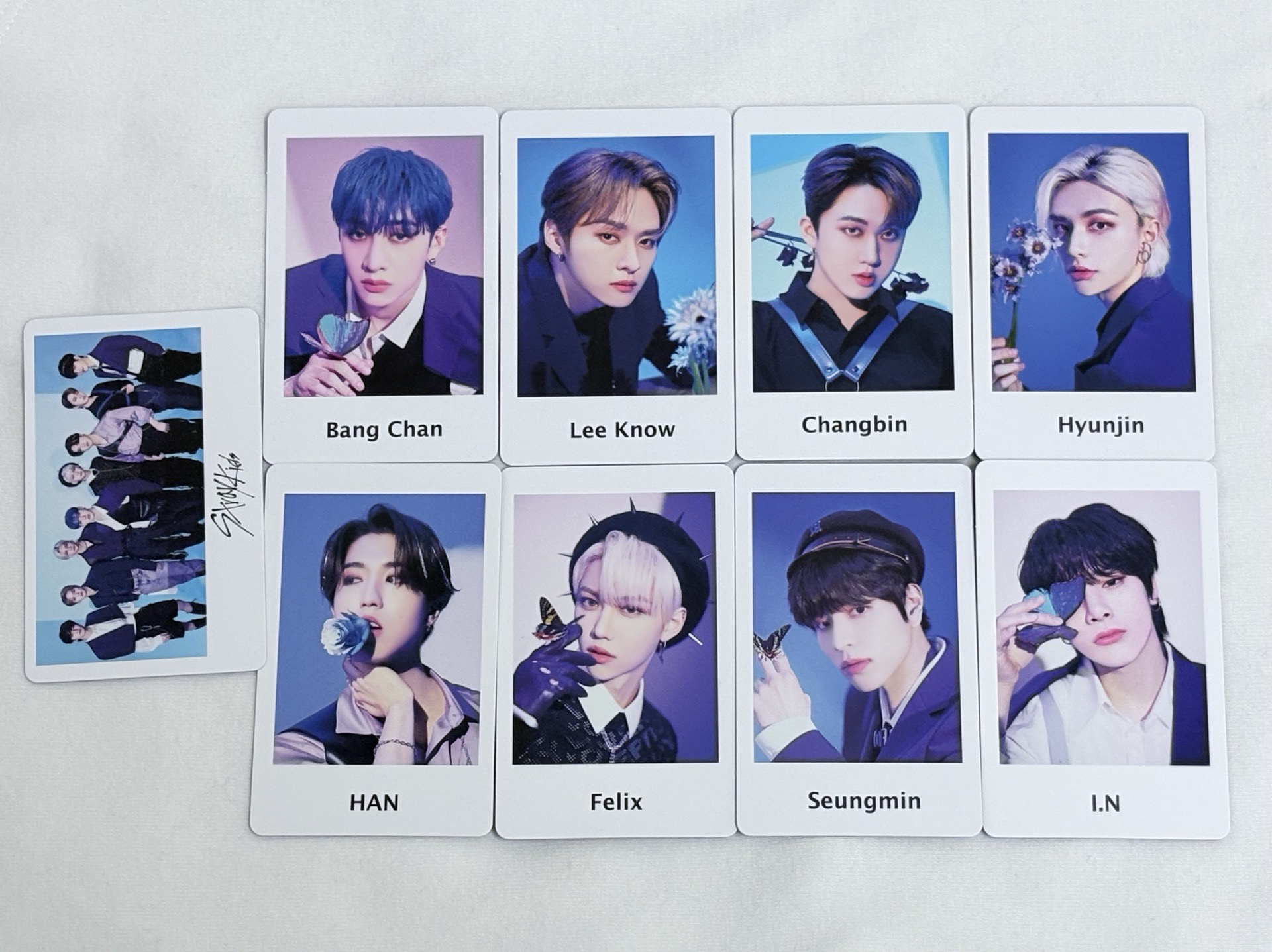 SKZ MANIAC 日周小卡