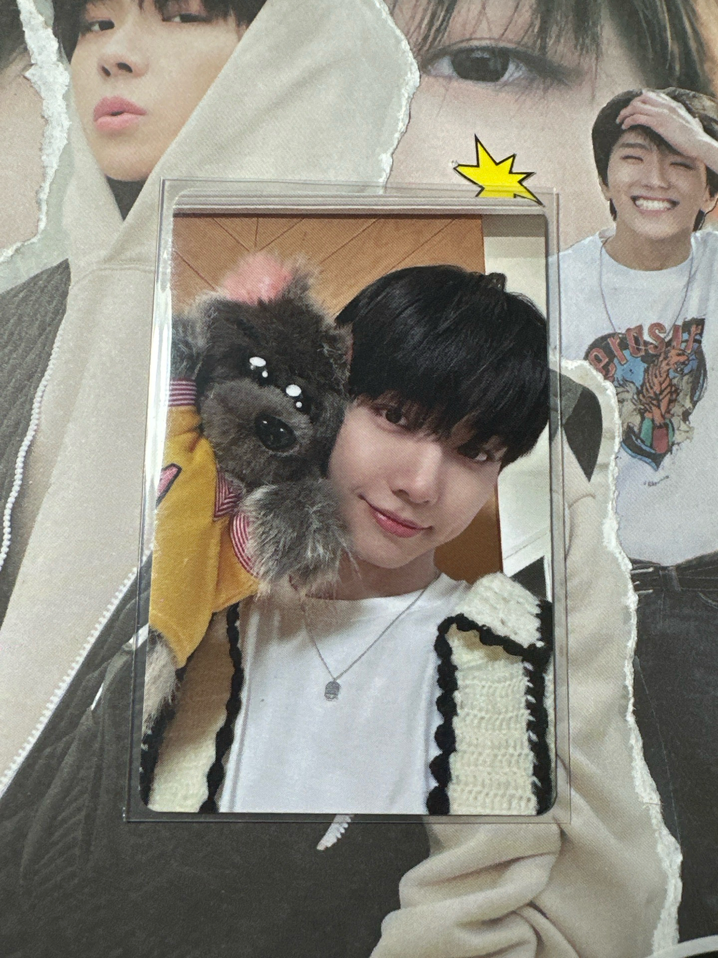 How WVS單封手偶 3