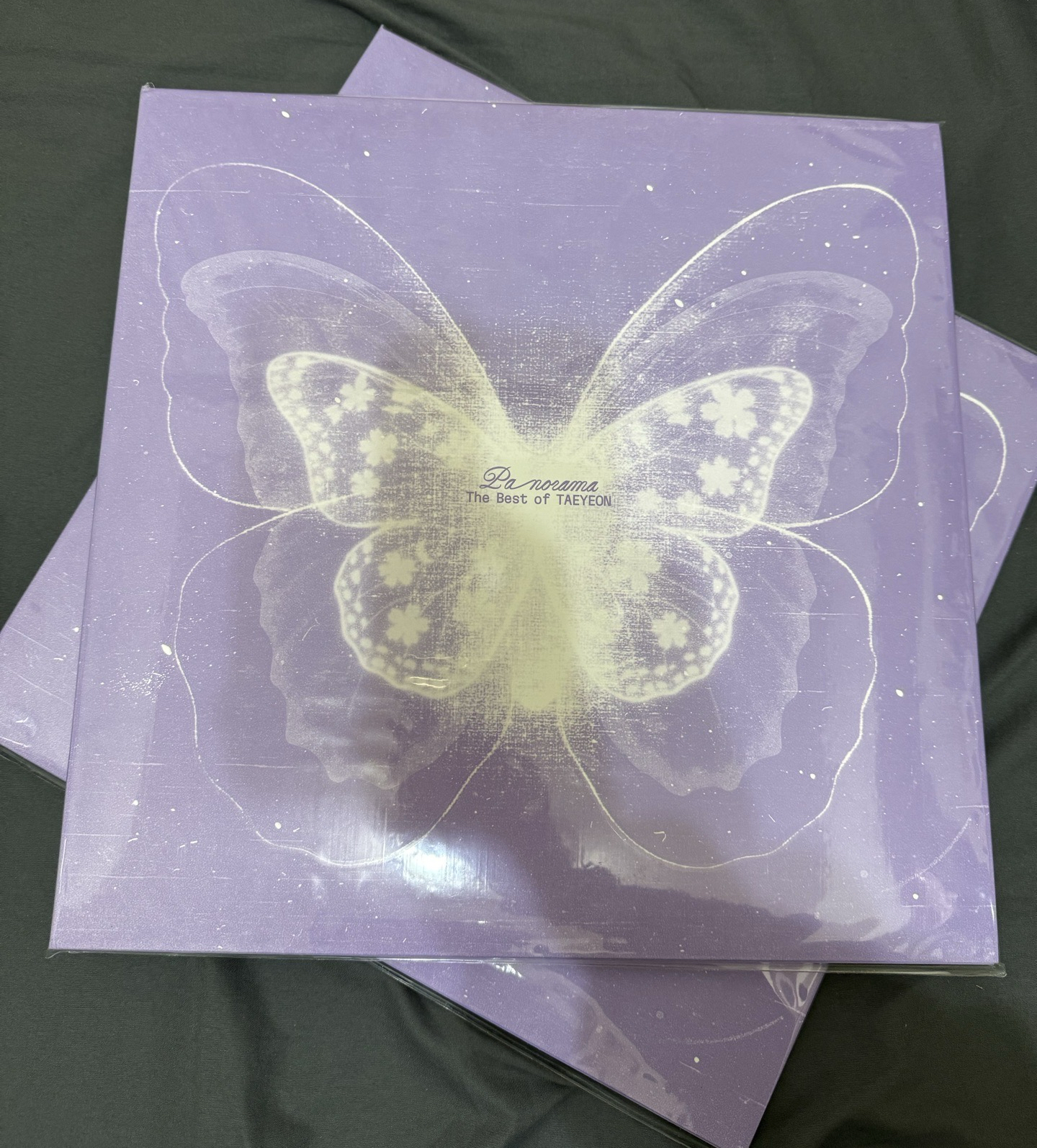 太妍 Panorama 十週年黑膠