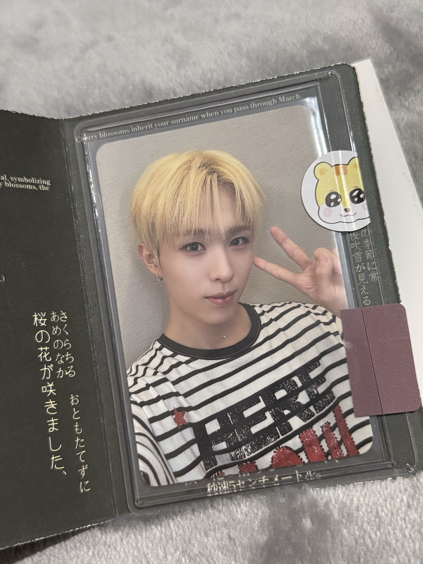 🐿️冠軍秀 打歌卡