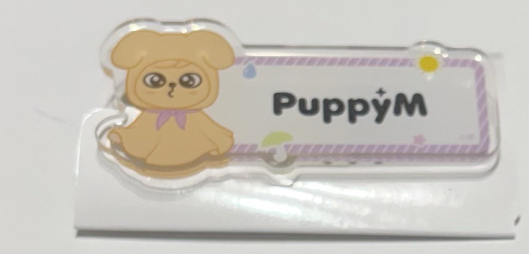 stray kids 姓名徽章-帕皮