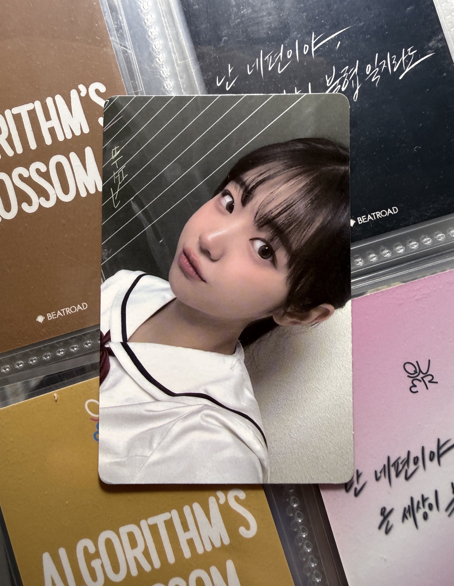 ❇️ 迷一 專輯卡 secret ver. C Chodan