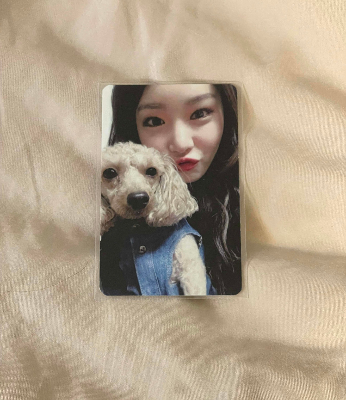 金請夏hands on me打歌卡