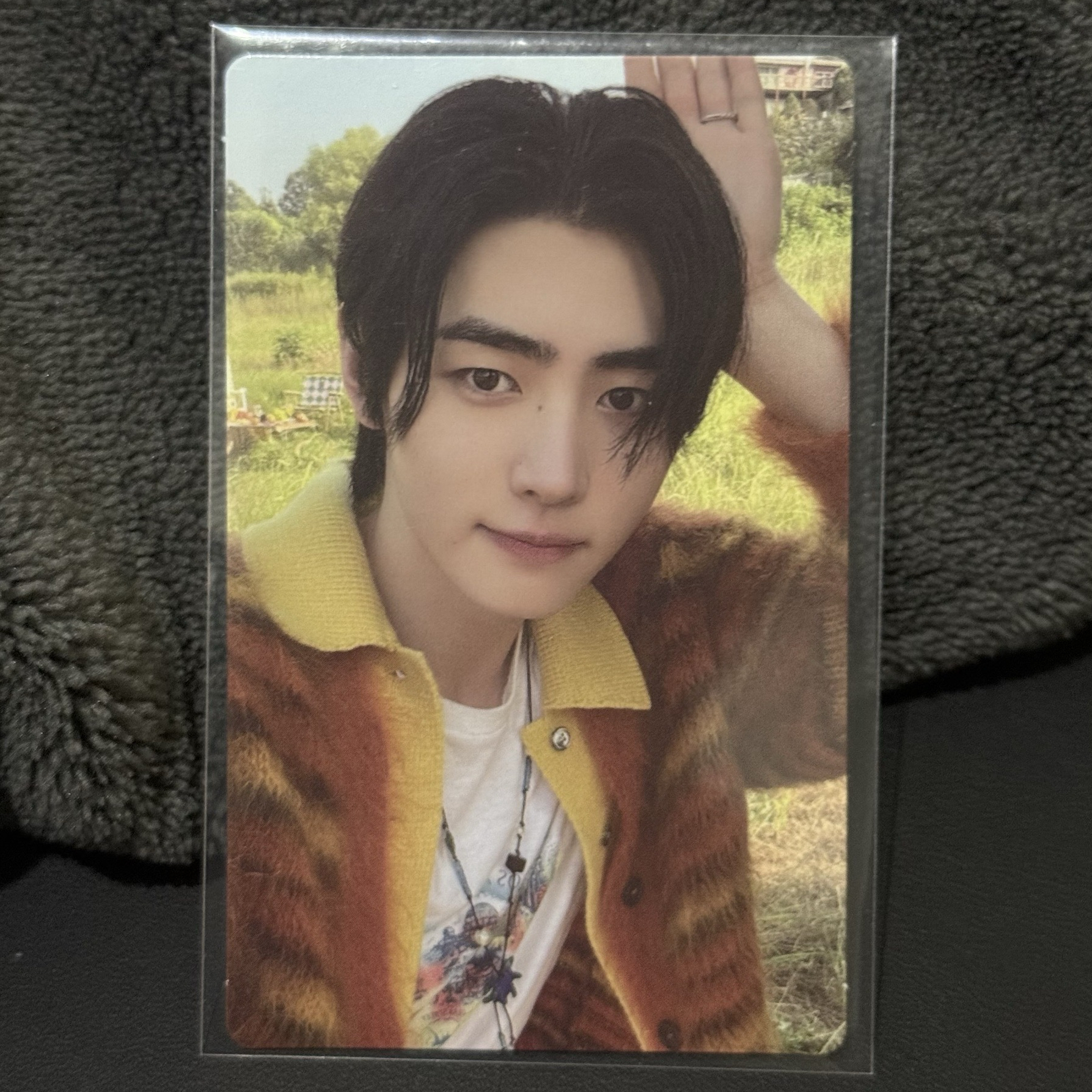 迷五 朴成訓 專卡