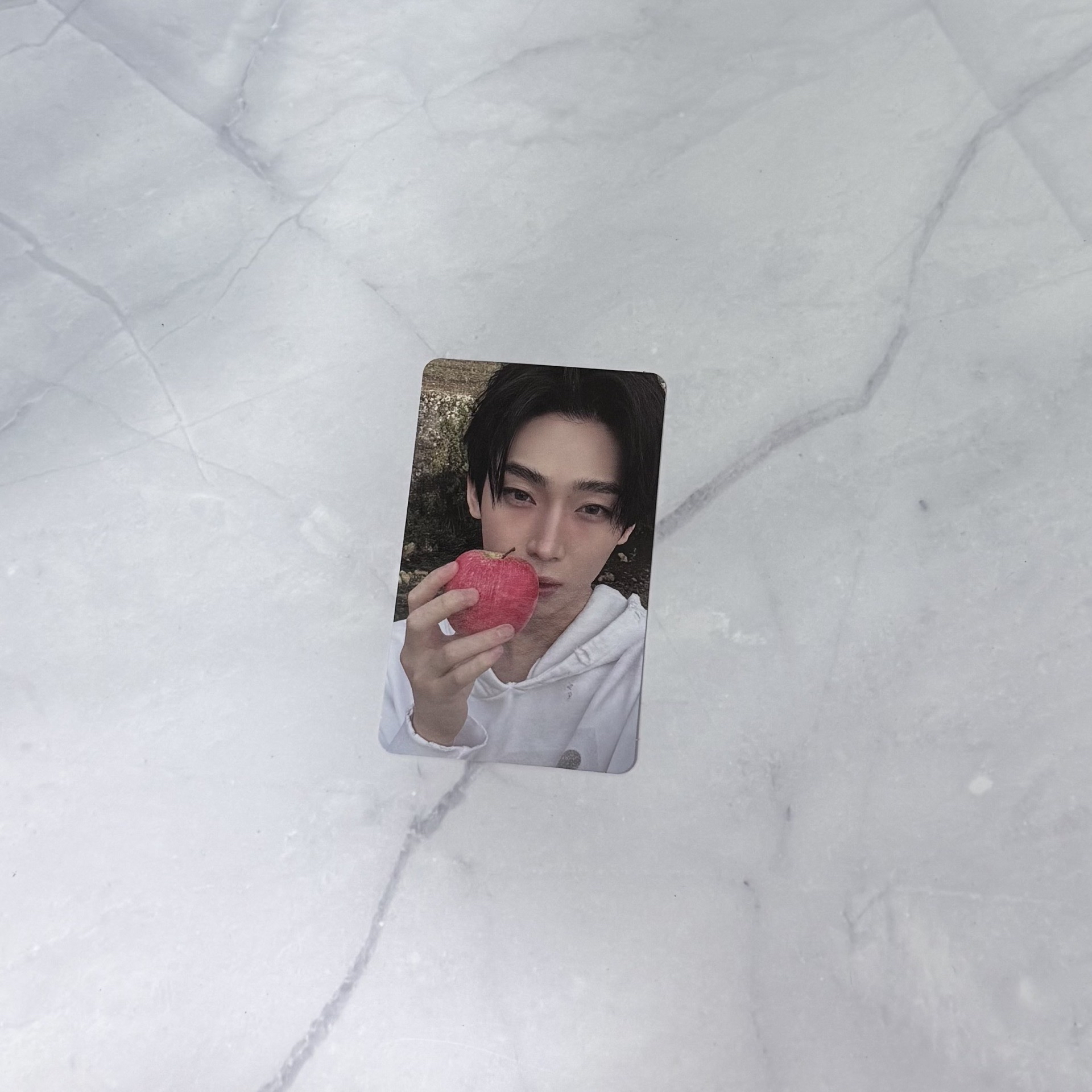 迷7 FUGITIVES 單封 專卡