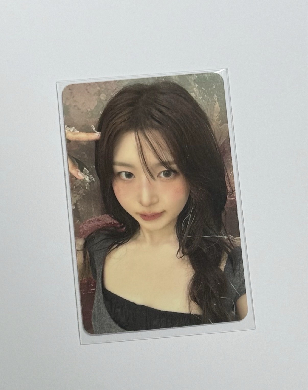 am預售（有損）