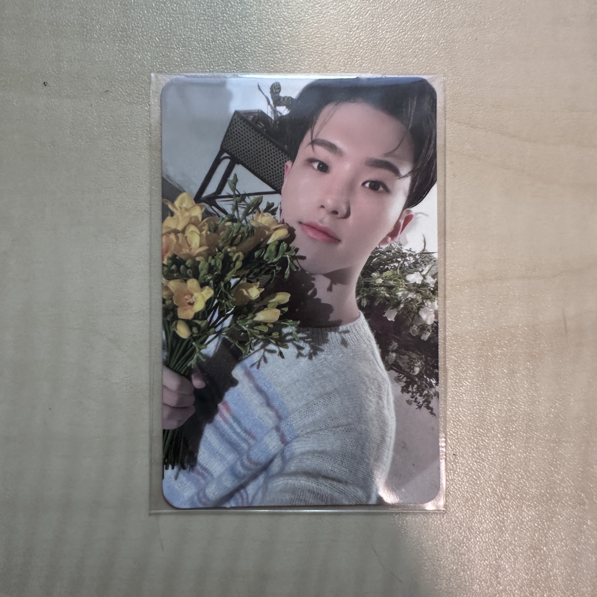 Mini8 Hoshi 捧花榮