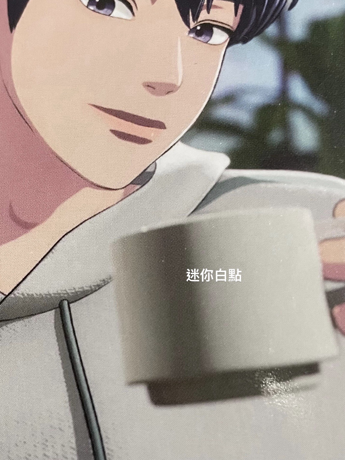 藝俊左2（微損）