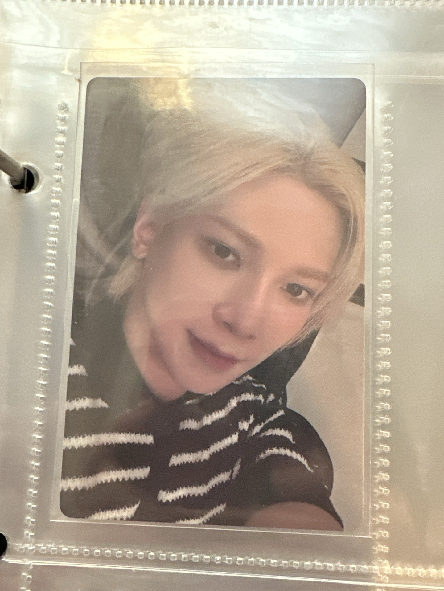 GH4單封專卡 毛衣軟乎乎馬爾濟斯