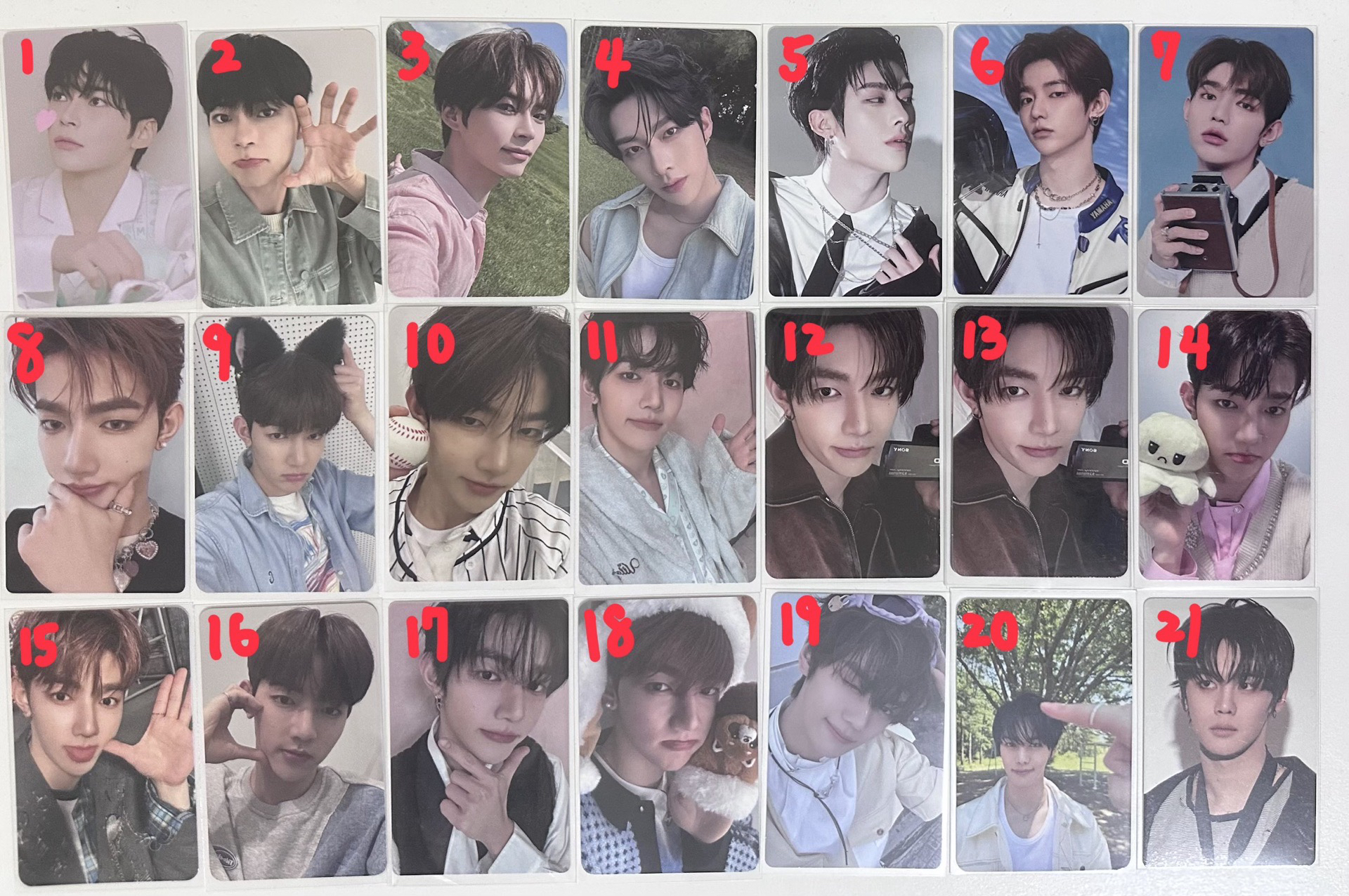 ZB1昊彬鋭奎小卡