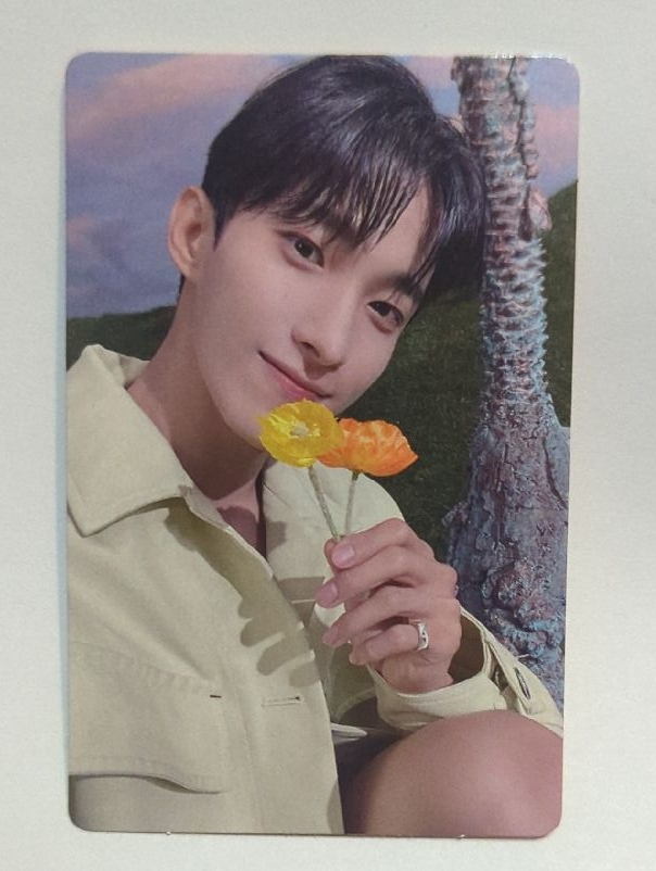 正規四後續 專卡 碩