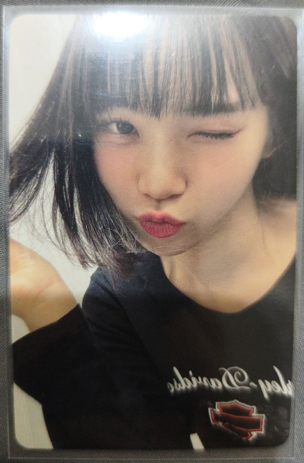 采源 一期會員禮