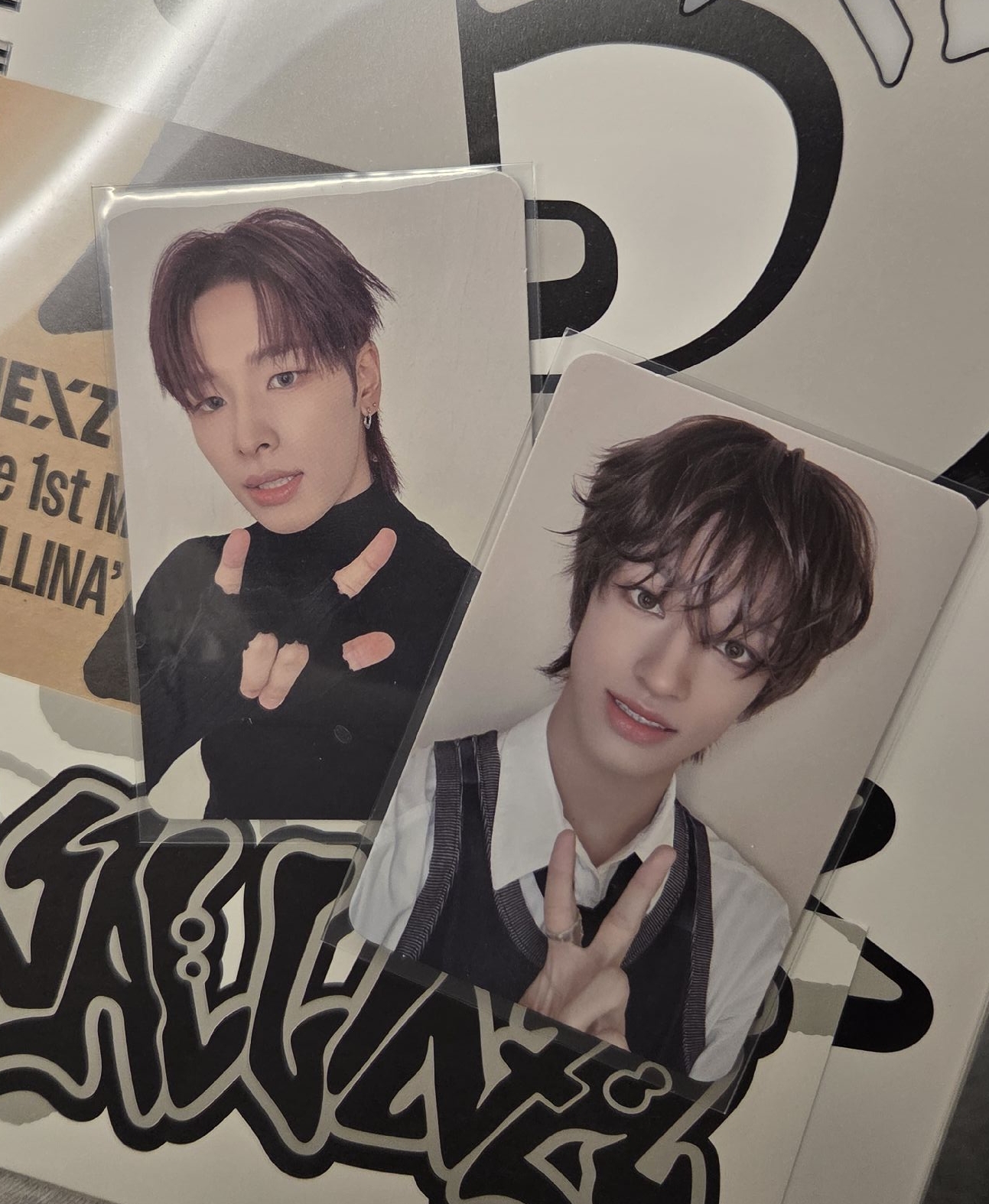 nallina專卡🐻‍❄️🦌