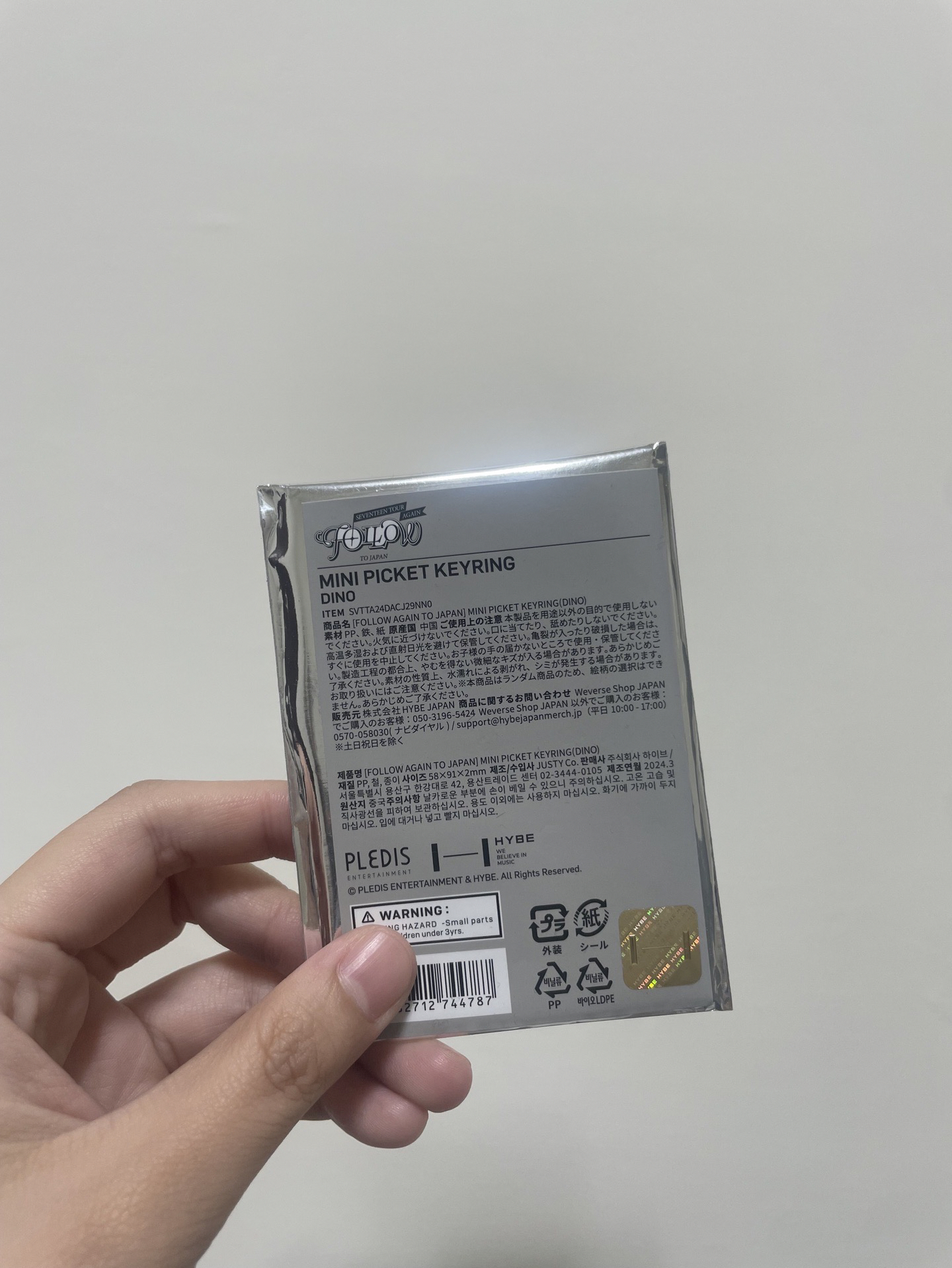 Follow again to japan 燦隨機小扇