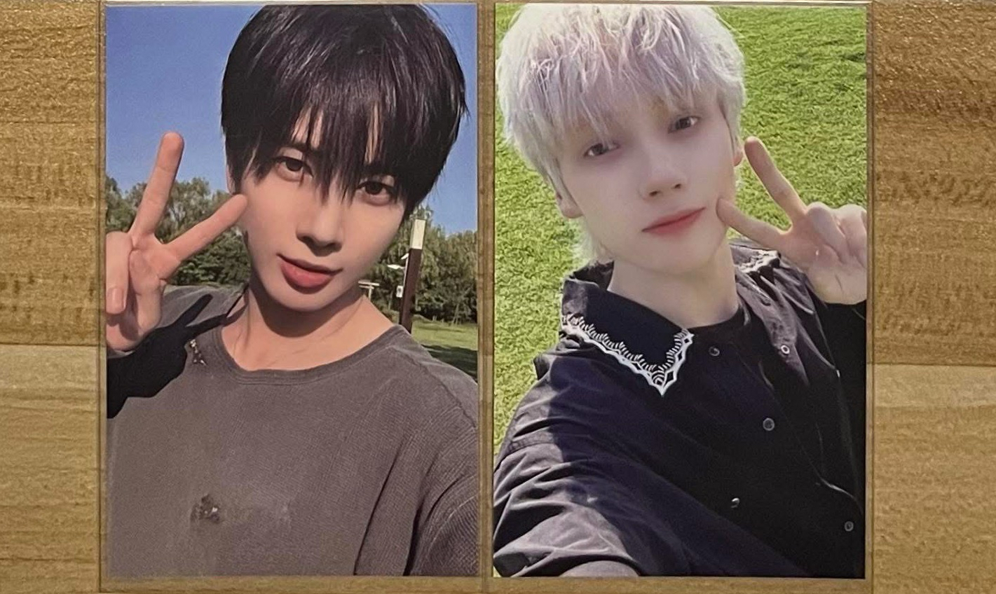 ⭐️台北粽 顯/寧