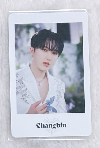 白日周拍立得卡 彰彬