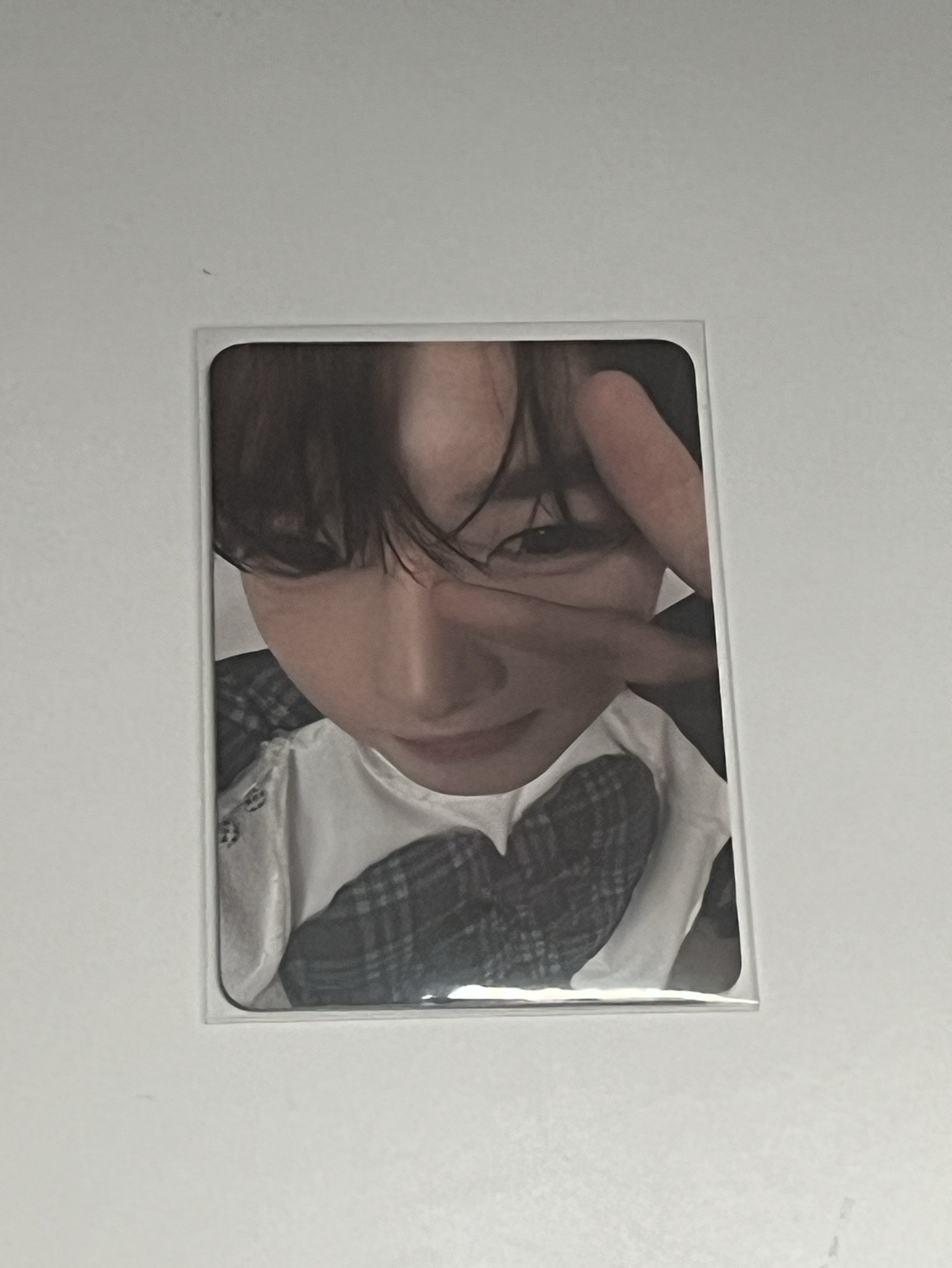 K4特典 可愛小崽🍞