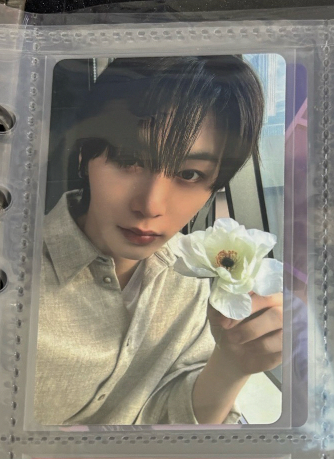 The action wvs 特典卡 含票卡