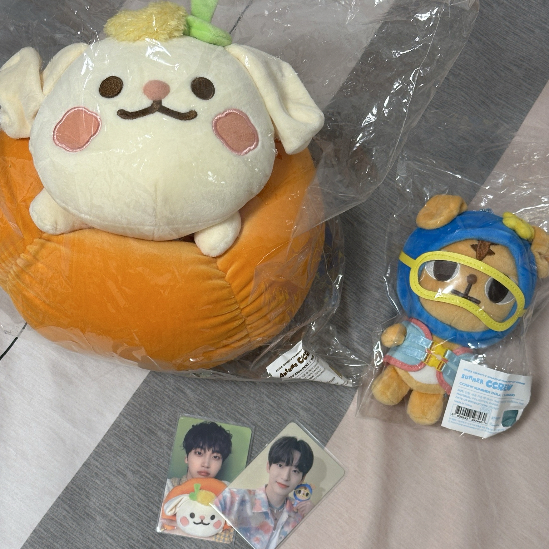 ccrew 夏日虎謨 秋日偷哩